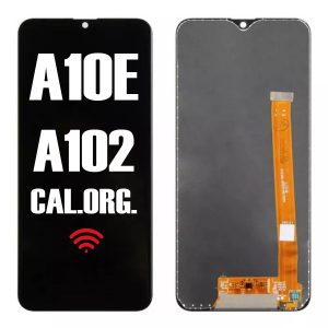MODULO A10E CAL.ORG.