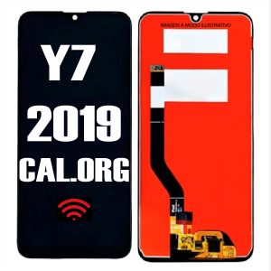 MODULO Y7 2019